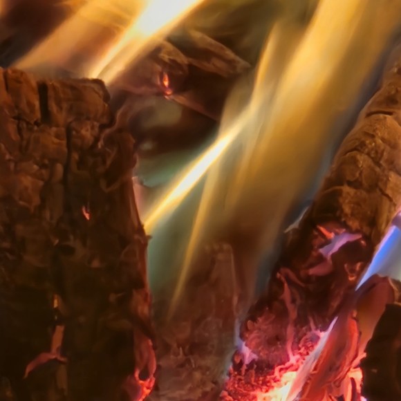 Meet your Posher, Colter - Picture 1 of 1